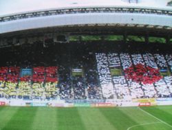 2007051906.jpg