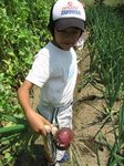 2007052007.jpg