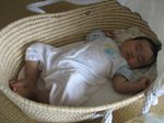 2007052901.jpg