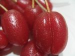 2007052903.jpg