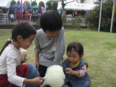 2007110707.jpg