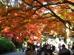 2007112503.jpg
