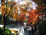 2007112509.jpg
