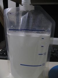 2008022901.jpg