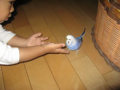 2008063001.jpg