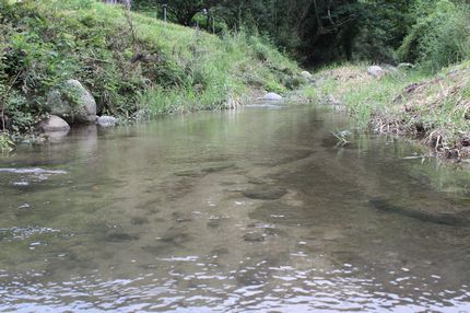 2008081402.jpg