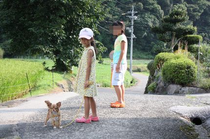 2008081403.jpg