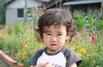 2008081404.jpg