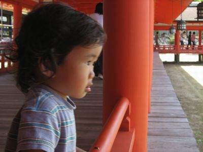 2008082409.jpg