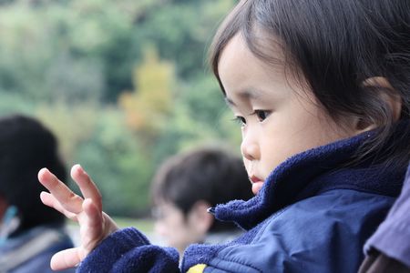 2008112303.jpg