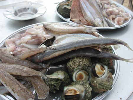2009073102.jpg