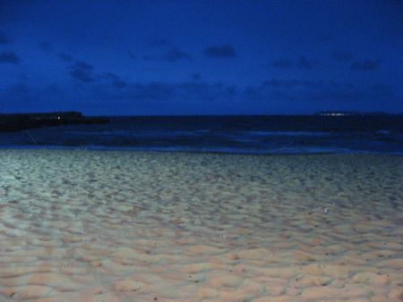 2009073106.jpg