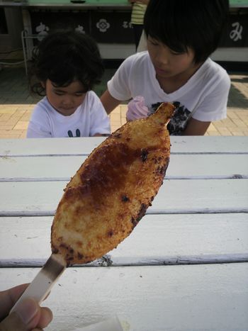2010081808.jpg
