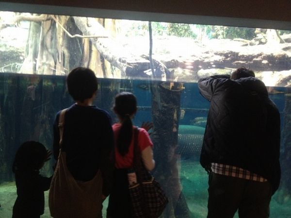 2012033112.jpg
