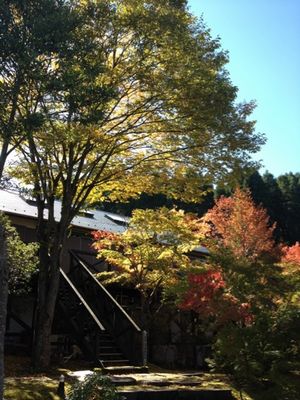 2012102402.jpg