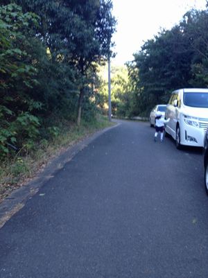 2012103105.jpg