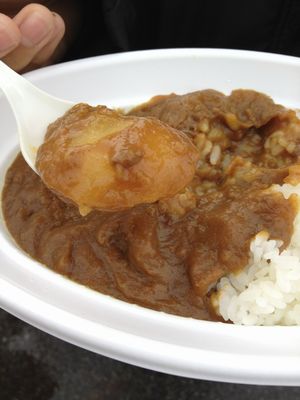 2012111110.jpg