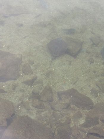 2013010604.jpg