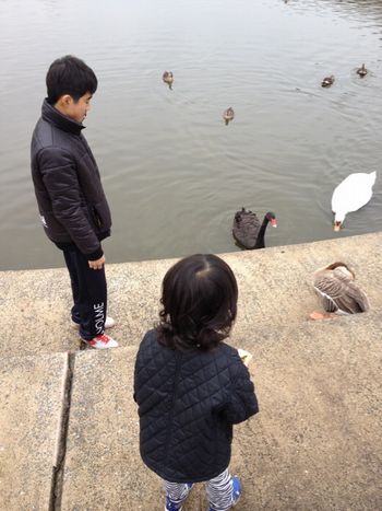 2013011307.jpg