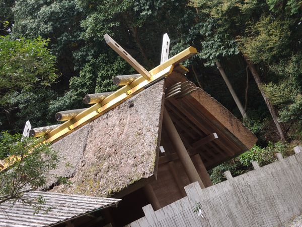 2013042001.jpg