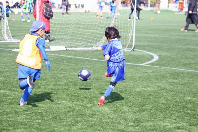 2014020101.jpg