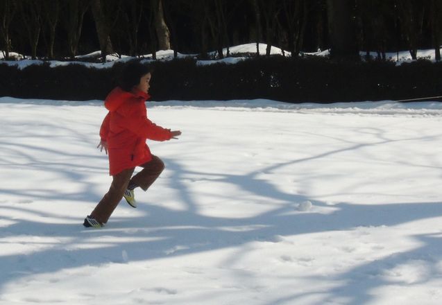 2014022302.jpg