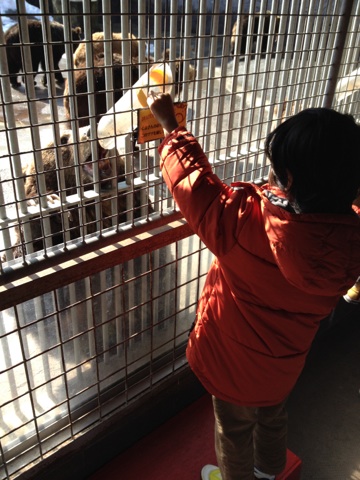 2014022305.jpg