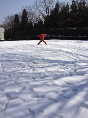 2014022306.jpg