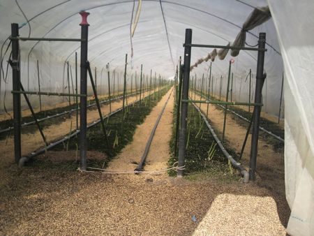 P1002890.JPG