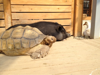 image-20130307225738.png