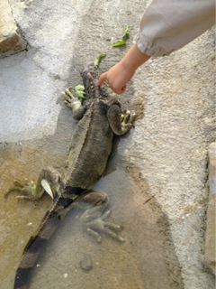 image-20130307225843.png