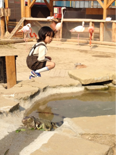 image-20130307225953.png