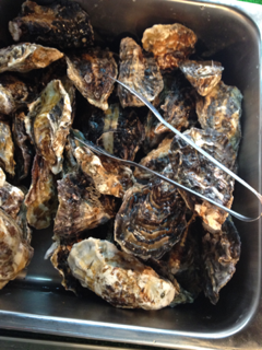image-20130326230030.png